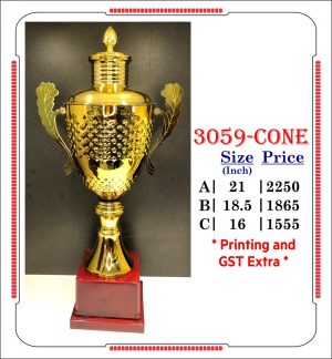3059-CONE