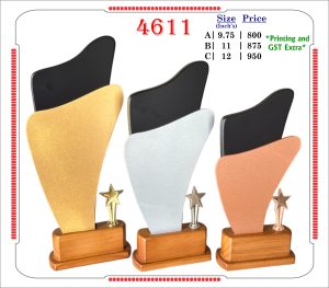 VR-4611 Wooden Trophy
