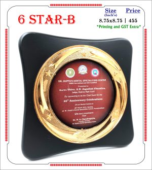 VR-6 STAR-B Wooden Trophy