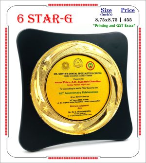 VR-6 STAR-G Wooden Trophy