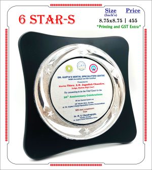 VR-6 STAR-S Wooden Trophy