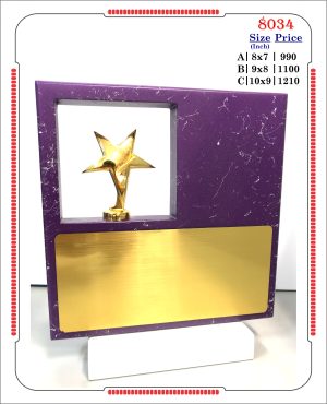 VR-8034 Wooden Trophy