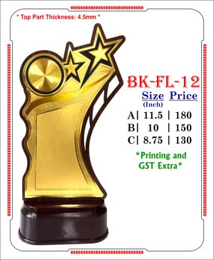 VR-BK-FL-12 Wooden Trophy