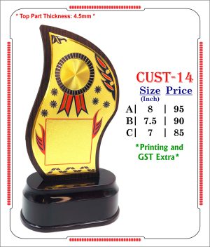 VR-CUST-14 Wooden Trophy