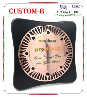 VR-CUSTOM-B Wooden Trophy