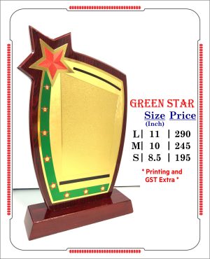 VR-GREEN STAR Wooden Trophy