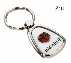 Z18 Metal Key Chain