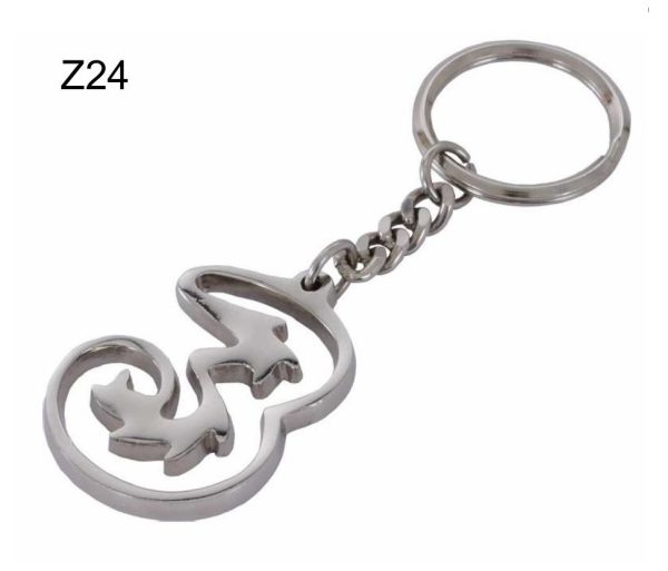 Z24 Metal Key Chain