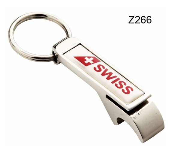 Z266 Metal Key Chain