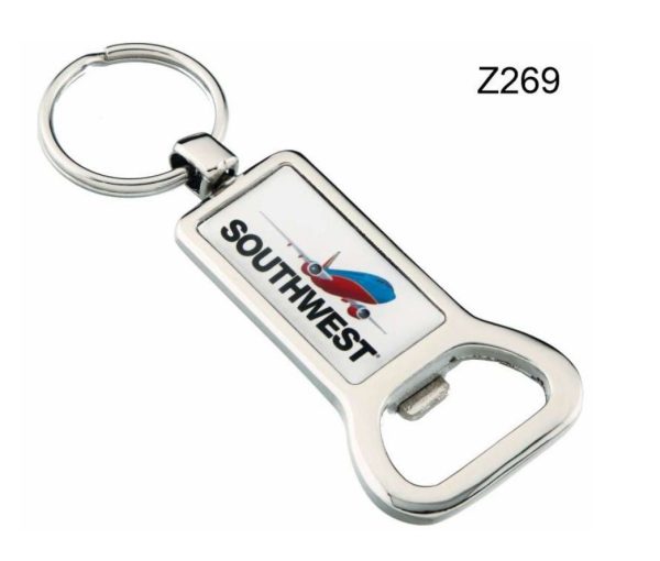 Z269 Metal Key Chain