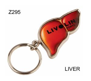 Z295 Metal Key Chain