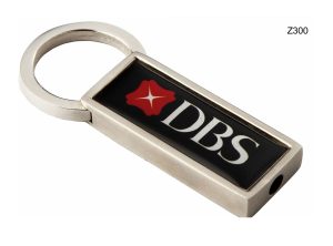 Z300 Metal Key Chain
