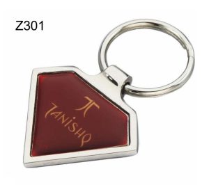 Z301 Metal Key Chain