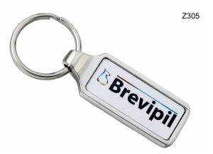Z305 Metal Key Chain