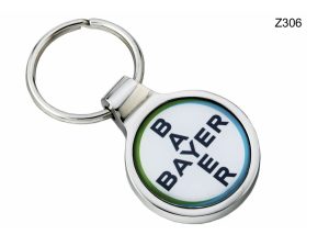 Z306 Metal Key Chain