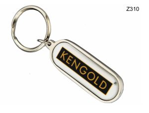 Z310 Metal Key Chain