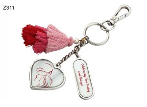 Z311 Metal Key Chain