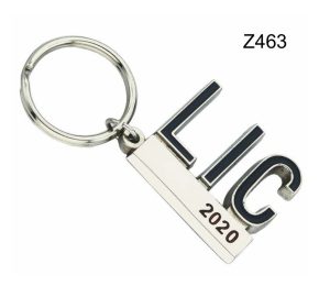 Z463 Metal Key Chain