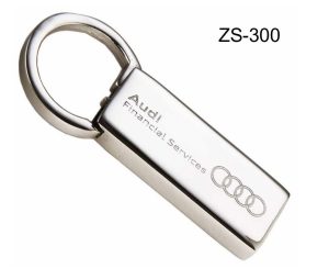 ZS-300 Metal Key Chain