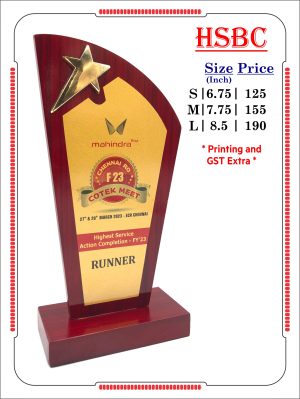 VR-HSBC Wooden Trophy