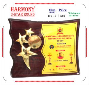 VR-Harmony 3 star round Wooden Trophy