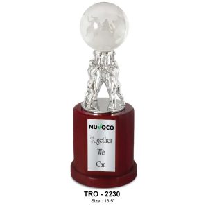 JI-2230 Team Work Globe Silver Trophy