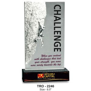 JI-2246 Best Achievers Trophy