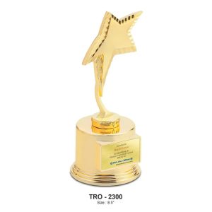 JI-2300 Metal Trophy