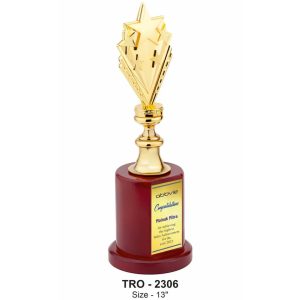 JI-2306  Metal Star Trophy