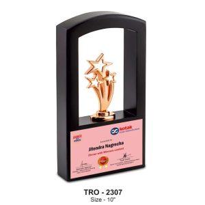 JI-2307 Window Star Trophy