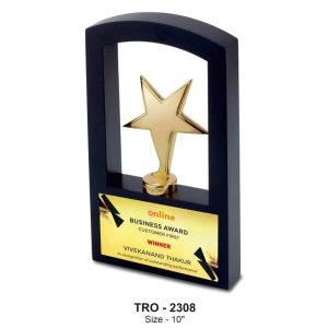 JI-2308 Window Star Trophy