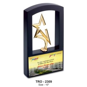 JI-2309 Window Star Trophy
