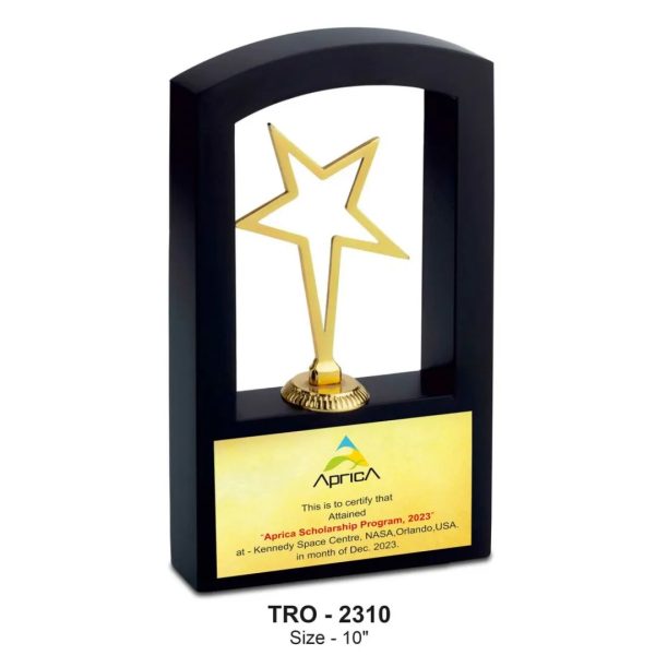 JI-2310 Window Star Trophy