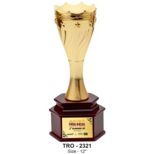 JI-2321 Cup Metal Trophy