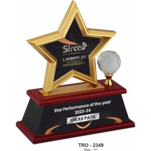 JI-2349 Star Crystal Trophy