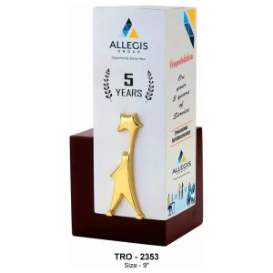 JI-2353 Wooden Brick Trophy