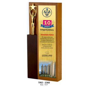 JI-2360 Wooden Brick Trophy