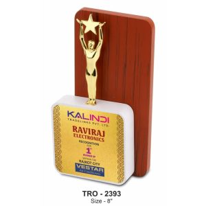 JI-2393 Metal Star Trophy