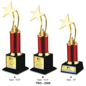 JI-2508 Corporate Star Trophy