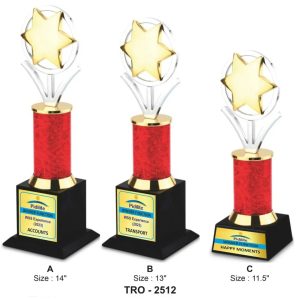 JI-2512 Ring With Star Trophy