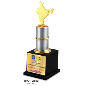 JI-2540 Indian Map Trophy