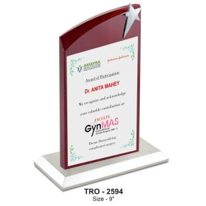 JI-2594 Designer Wooden Plaque