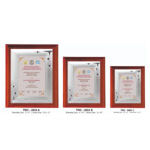 JI-2602 Wooden Momento