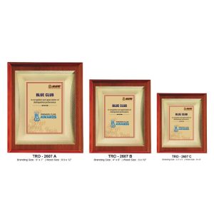 JI-2607 Wooden Momento