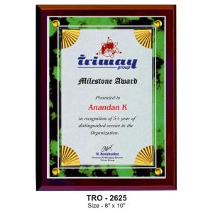 JI-2625 Executive Silver Plaques