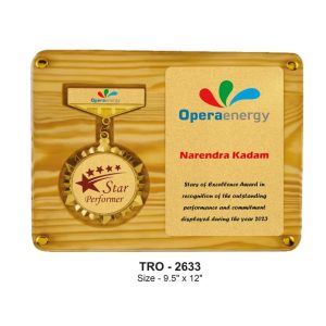JI-2633 Display Plaque With Medal & Certificate