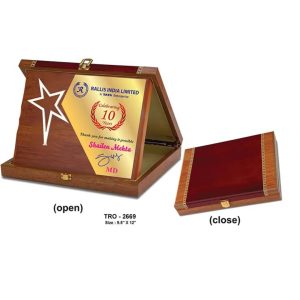 JI-2669 Wooden Star Plaque With Box