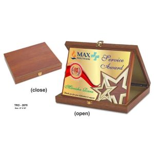 JI-2670 Wooden Star Plaque With Box