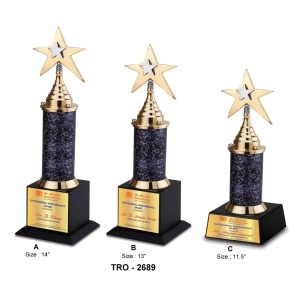 JI-2689 Designer Star Trophy