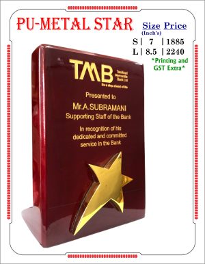 VR-PU-Metal Star Wooden Trophy